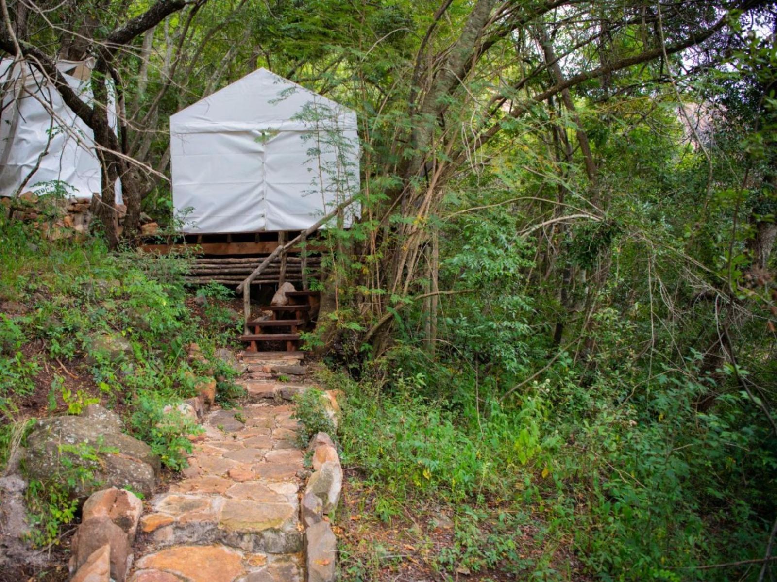 Riverbed Africa Lydenburg Zewnętrze zdjęcie