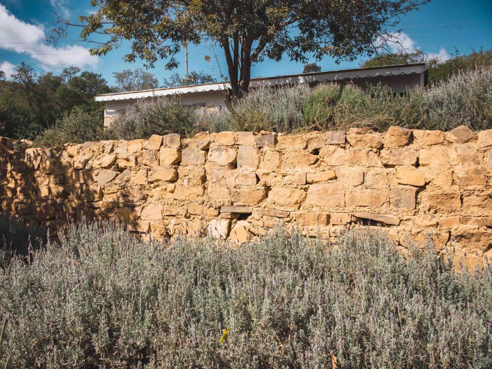 Riverbed Africa Lydenburg Zewnętrze zdjęcie