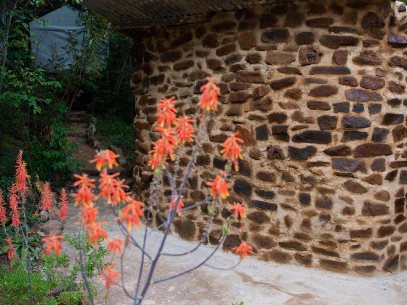 Riverbed Africa Lydenburg Zewnętrze zdjęcie